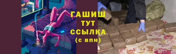 шишки Сосновый Бор