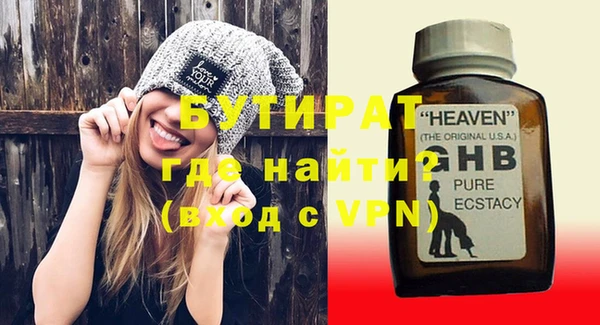 шишки Сосновый Бор