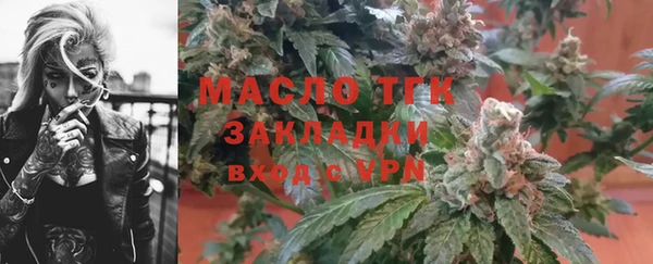 шишки Сосновый Бор